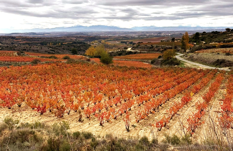 Conde en otoño