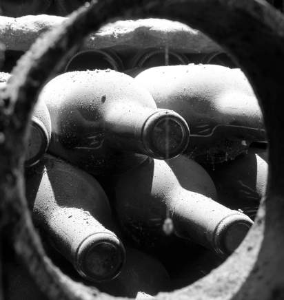 Wine tourism