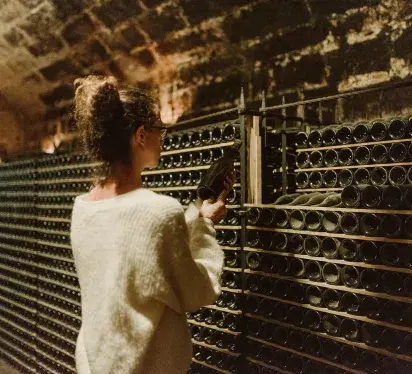 bodegas ollauri