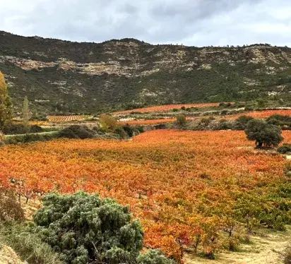 Conde de los andes en otoño